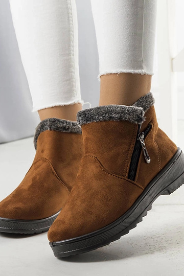 Camel izoliuoti sniego...