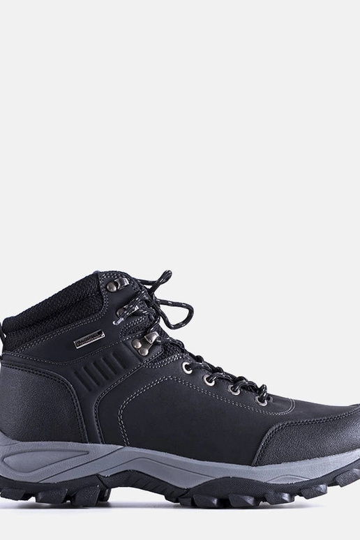 Juodi aulinukai ant masyvios padukos,...