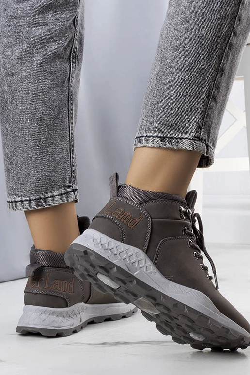 Adleri pilkos spalvos izoliuoti... Adleri pilkos spalvos izoliuoti...