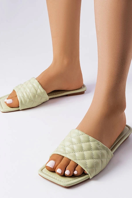 Žalios spalvos elegantiškos Labrie... Žalios spalvos elegantiškos Labrie...