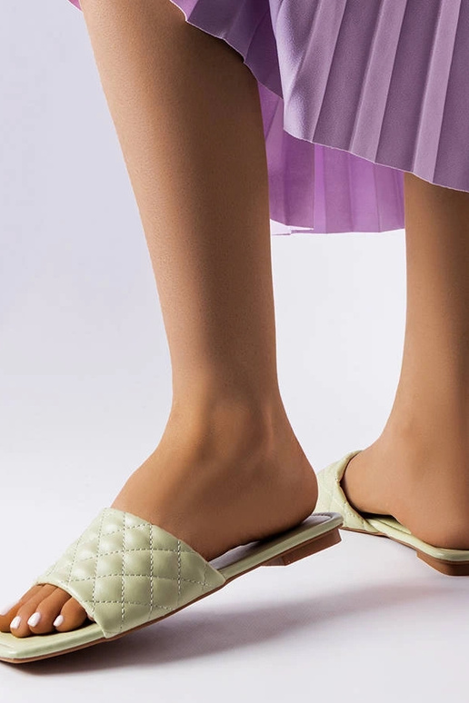 Žalios spalvos elegantiškos Labrie... Žalios spalvos elegantiškos Labrie...