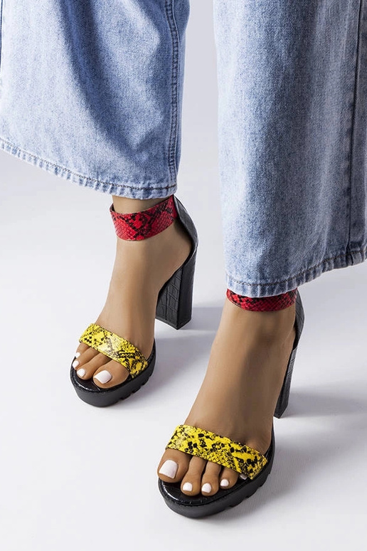 Knoxville Yellow Snake Spausdinti... Knoxville Yellow Snake Spausdinti...