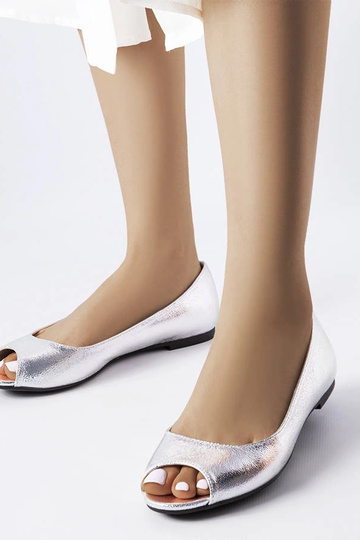 Trieux sidabriniai... 2