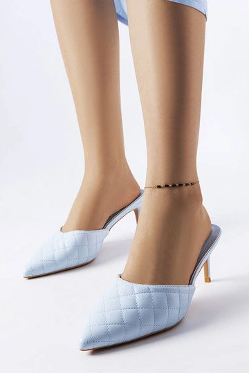 Mėlyni dygsniuoti Lambert... 2