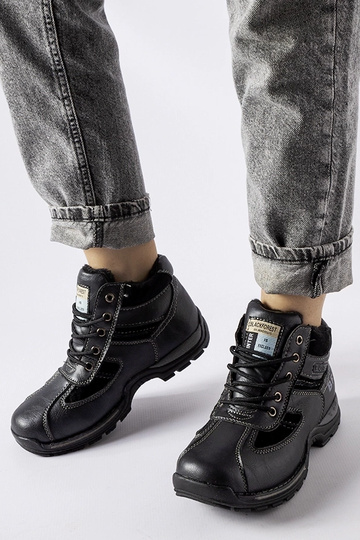 Pilki aulinukai ant...