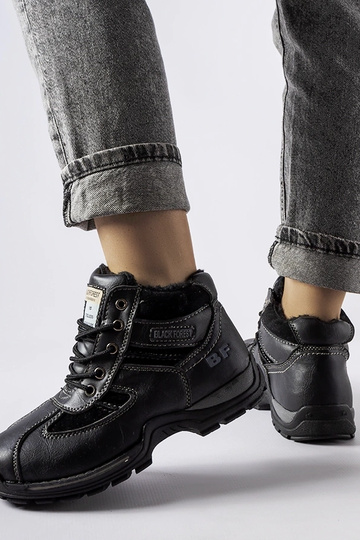 Pilki aulinukai ant... 2