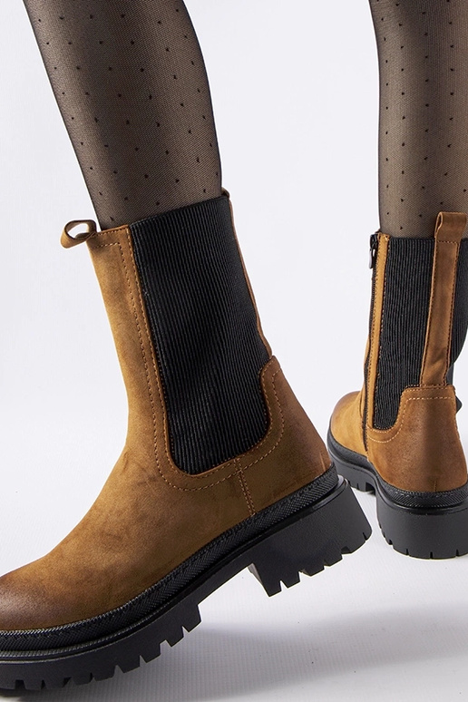 Rudos spalvos izoliuoti aukštaauliai...