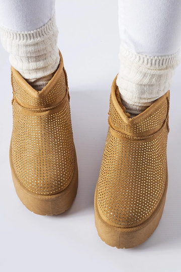 Rudi sniego batai su Sonora... 2