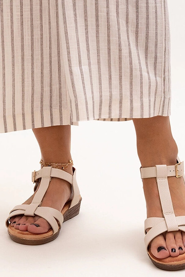 Smėlio spalvos žemos...