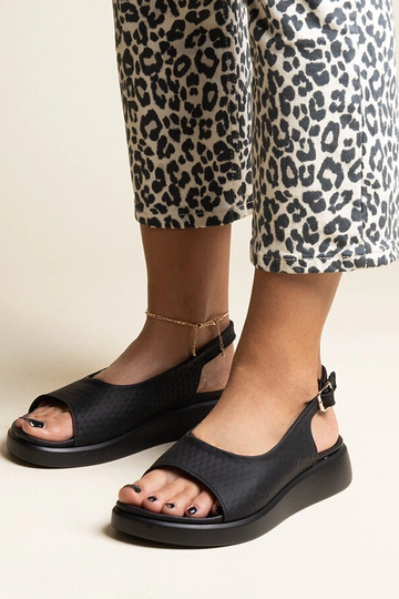 Hamonda juodos basutės... 2