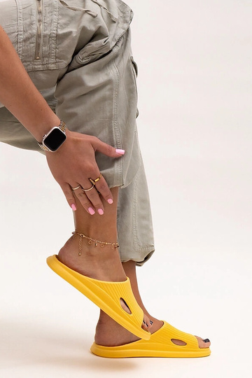 Geltonos Mirtilės... 2