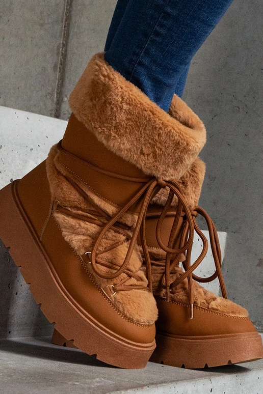 Rudi izoliuoti suvarstomi sniego...