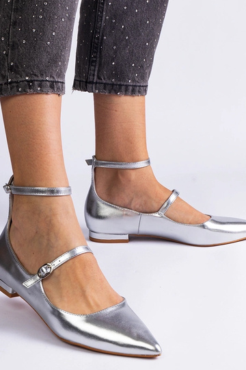 Sidabrinės spalvos...