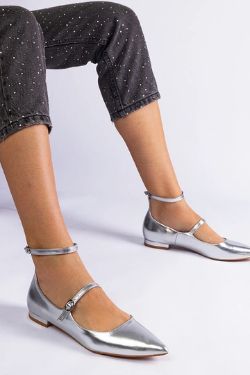 Sidabrinės spalvos... 2