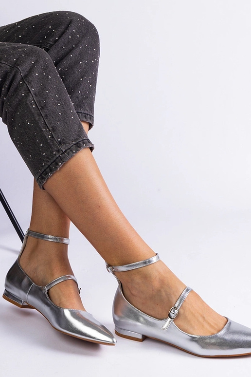 Sidabrinės spalvos plokščios pompos...