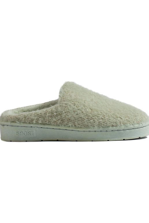 Įsispiriamos šlepetės su kailiuku...