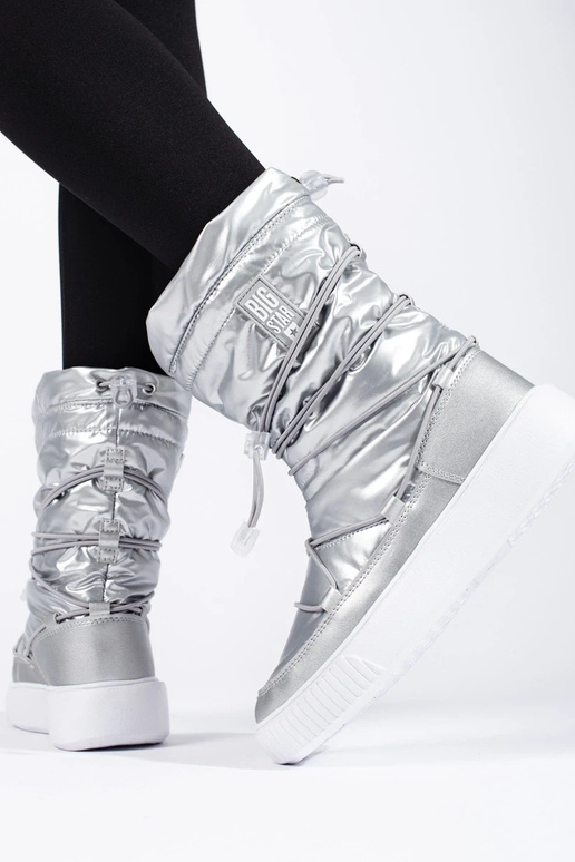 Moteriškas izoliuoti sidabras sniego...