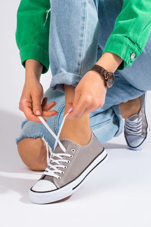 Klasikinio modelio pilkos spalvos...