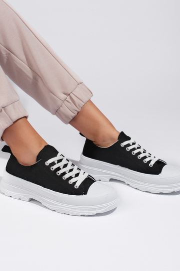 Klasikinio modelio... 2