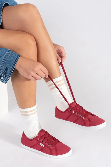 Raudonos spalvos žemi... 2