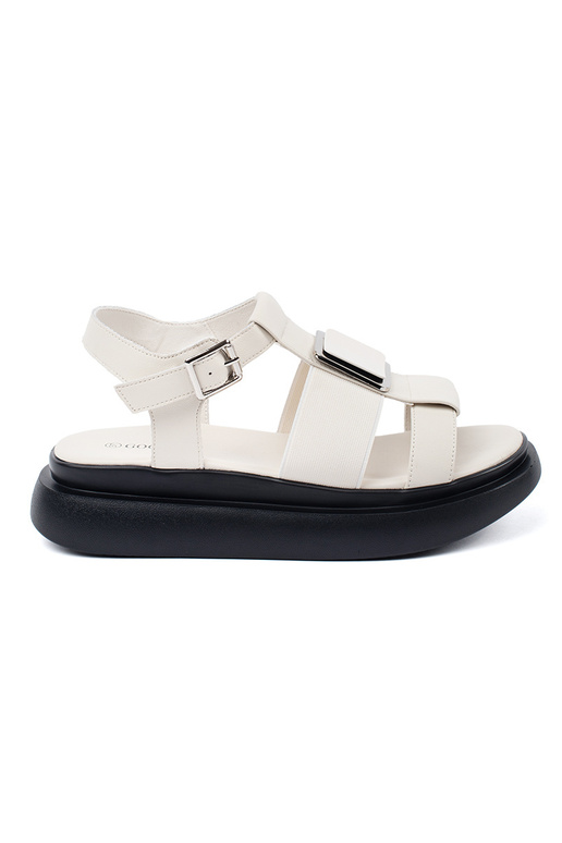 Dramaivio kaulo spalvos odiniai...