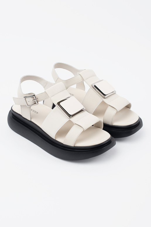 Dramaivio kaulo spalvos odiniai...