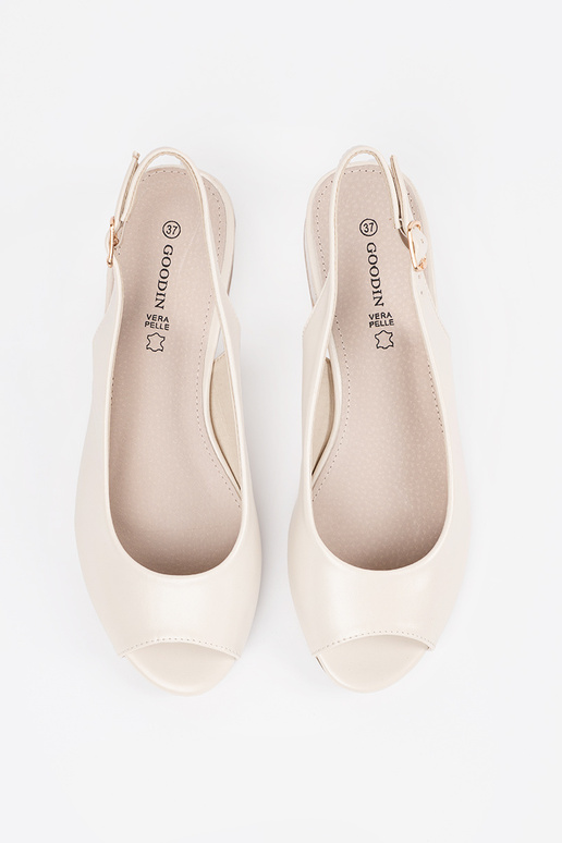 Dramblio kaulo spalvos elegantiški...