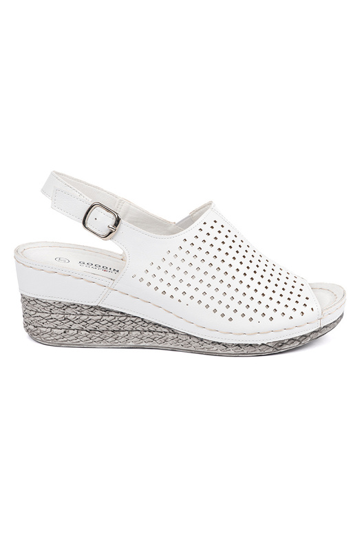 Baltos spalvos basutės