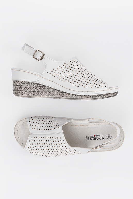 Baltos spalvos basutės