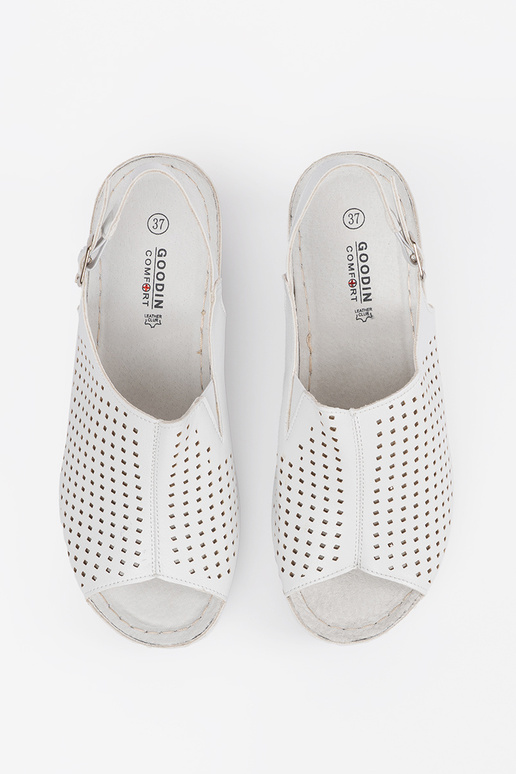 Baltos spalvos basutės