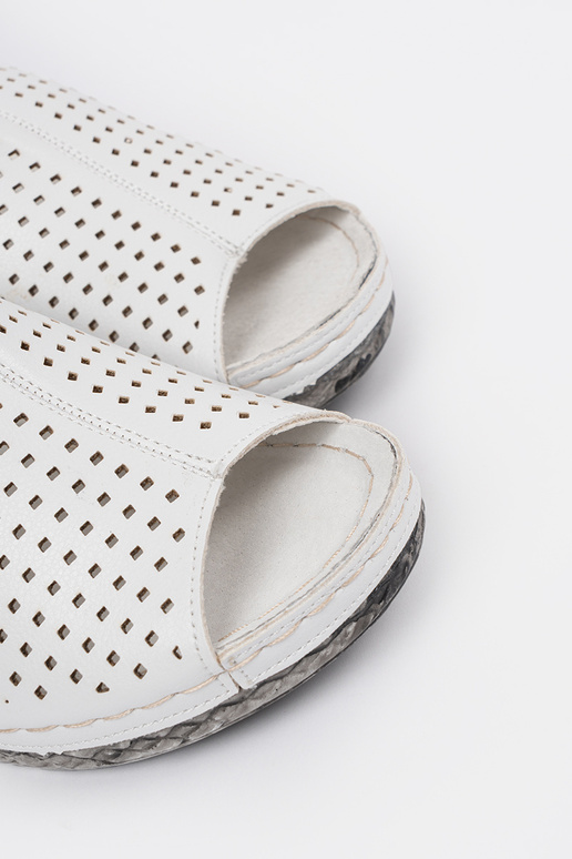 Baltos spalvos basutės