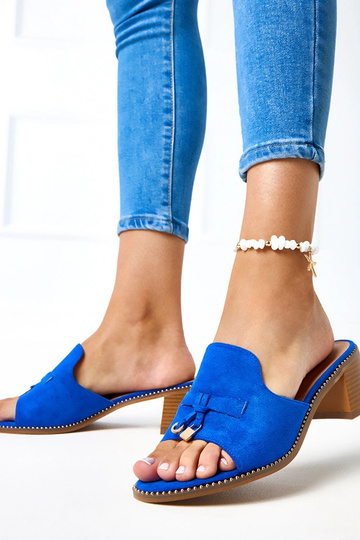 Mėlynos šlepetės ant kulno... 2