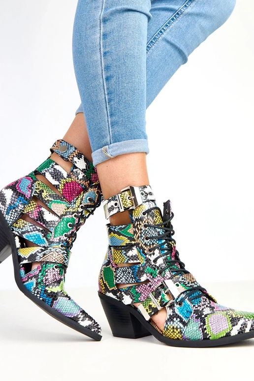 Įvairiaspalvės botinės ant kulno su...