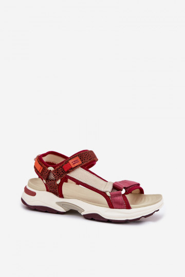 Moteriškos basutės su lipniais užsegimais D.Franklin DFSH406003 bordo spalvos 2