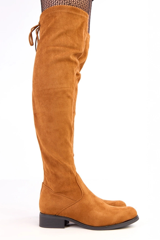 Rudi ilgaauliai batai ant plokščio...