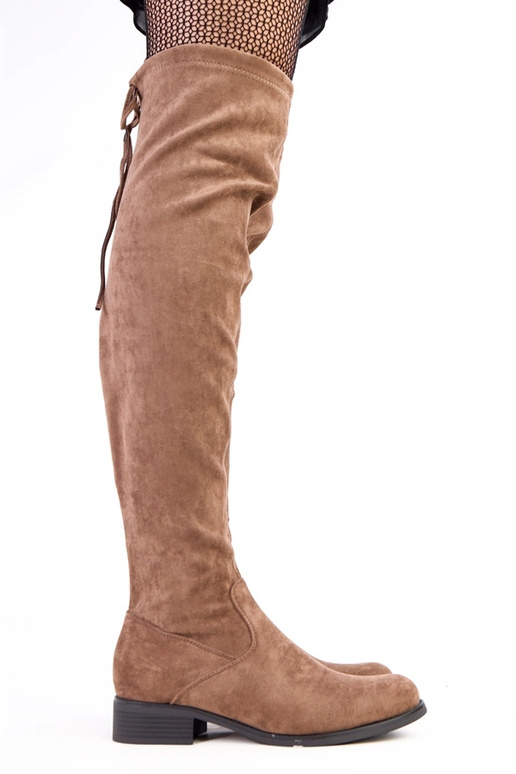 Smėliniai ilgi aulinukai plokščiu...