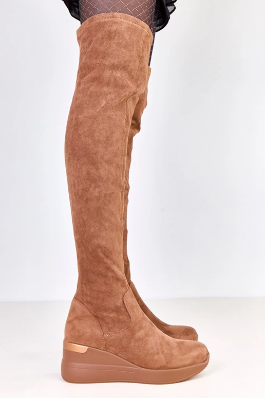 Rudi dirbtinio zomšo aulinukai ant...