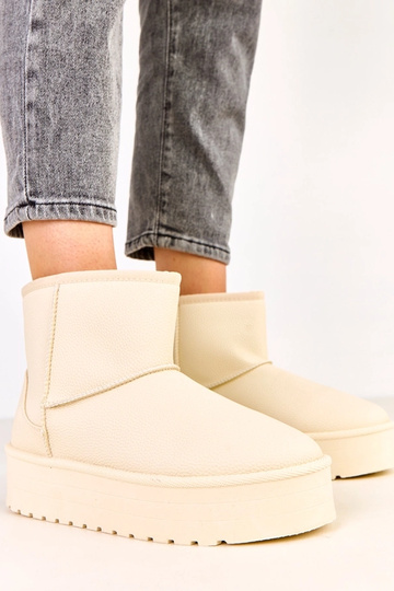 Smėlio spalvos žemi sniego...