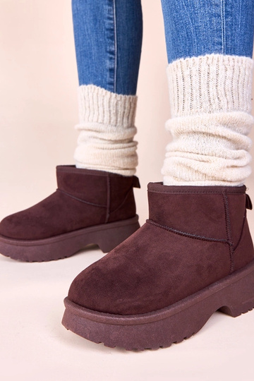 Rudos šiltintos sniego...