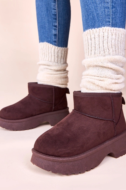 Rudos šiltintos sniego aulinukės ant...