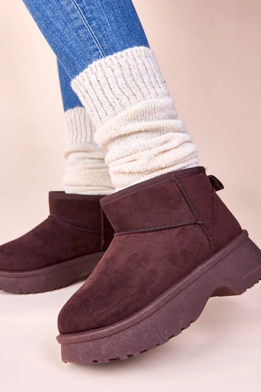 Rudos šiltintos sniego aulinukės ant...