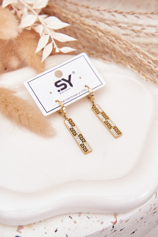 su stilingomis detalėmisi INiszące su tviskančiomis akutėmis Stal Pozłacana