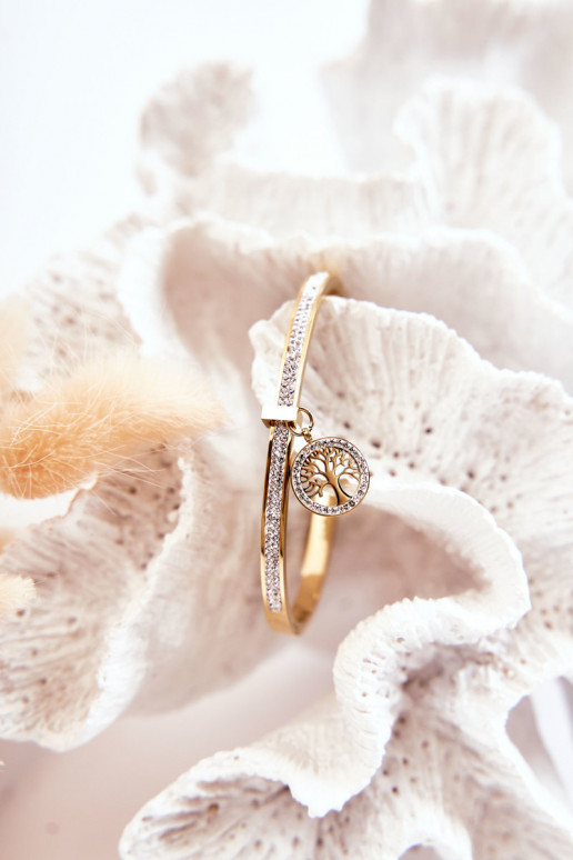 Plieno apyrankė su cirkonio akutėmis Gyvybės medis aukso spalvos Alive