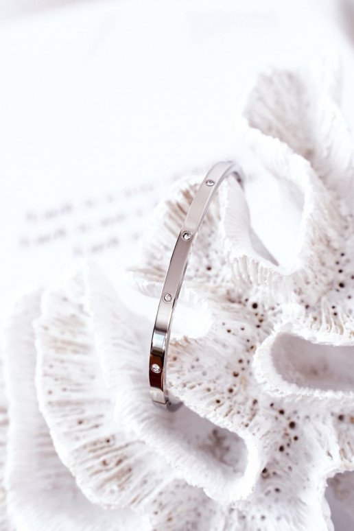 Plieno apyrankė su tviskančiomis akutėmis sidabro spalvos