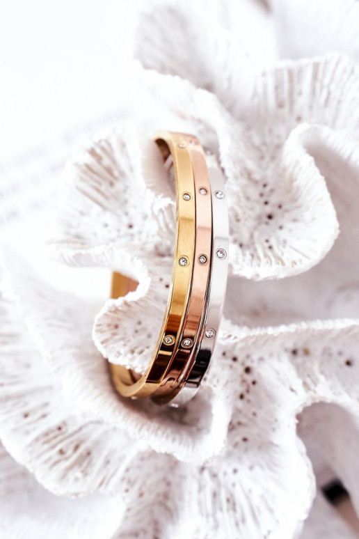 Plieno apyrankė su tviskančiomis akutėmis sidabro spalvos