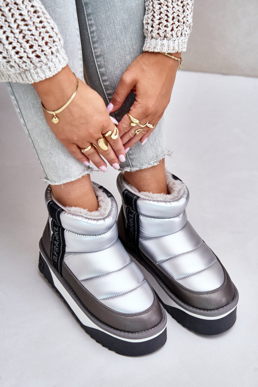 Žemas sniego batai Ant storo pado D.Franklin DFSH371010 sidabro spalvos