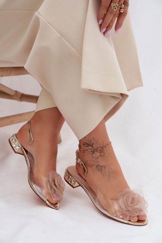 Moteriškos basutės PerregimisuRožė D&A MR61-9003 aukso spalvos