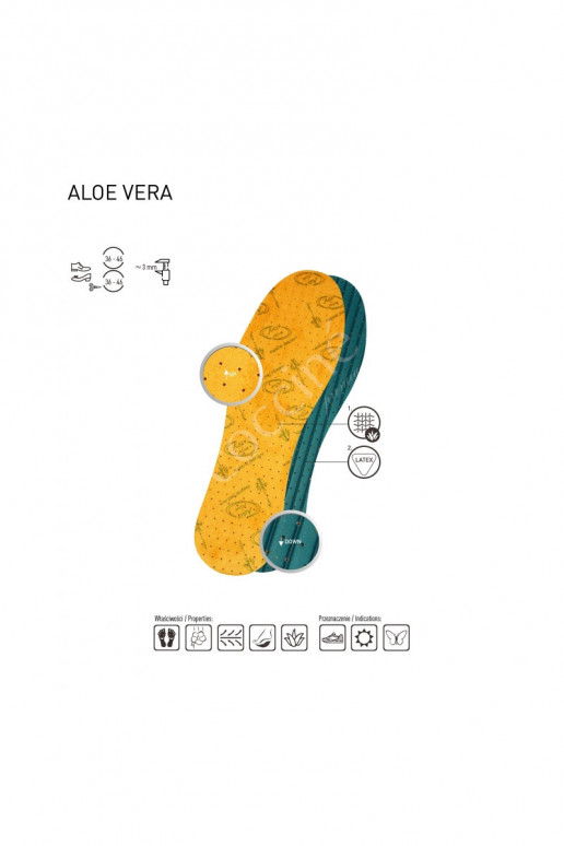 Coccine  Vidpadžiai  ALOE VERA