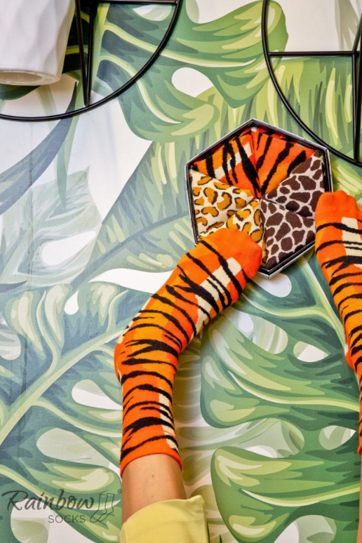 Spalvotos kojinės dėžutėje su laukinių gyvūnų motyvais 3 poros Spalvotos kojinės dėžutėje su laukinių gyvūnų motyvais 3 poros