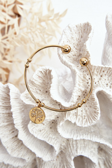 Apyrankė  aukso spalvos 2